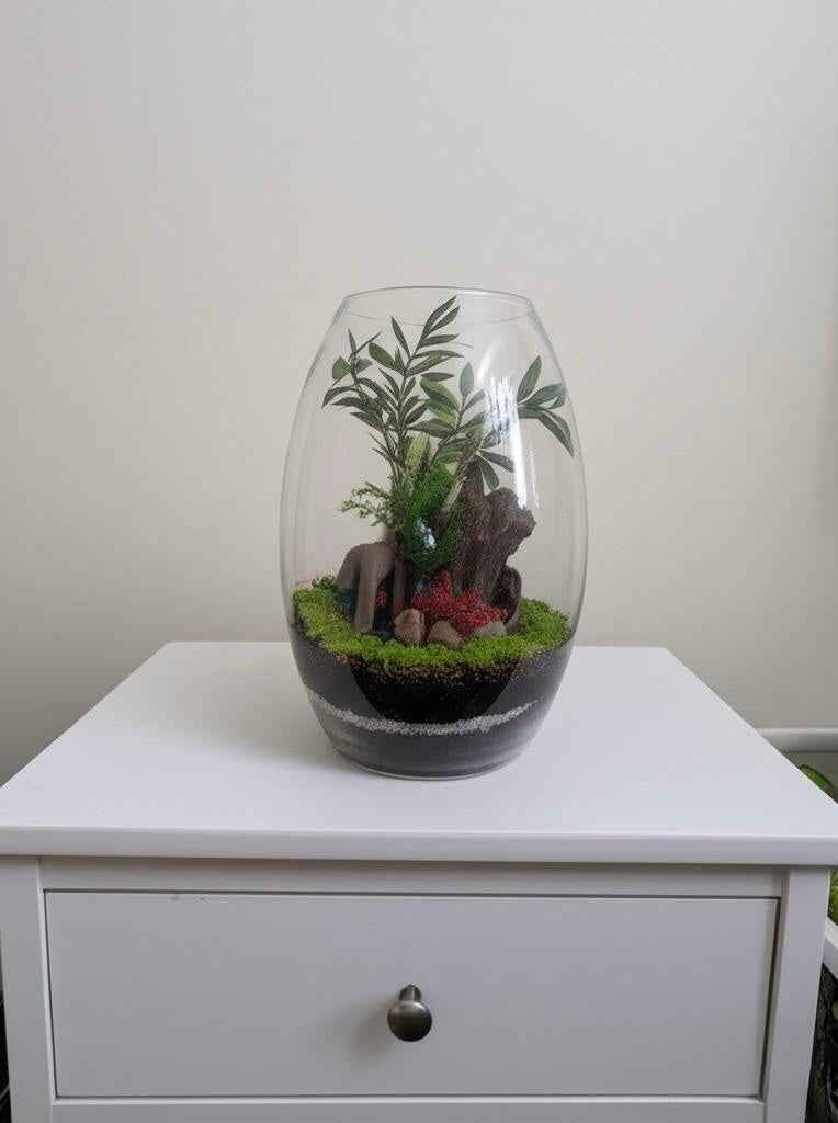 Stylish DIY Terrarium Kit - unique 8 inch Glass with live plants