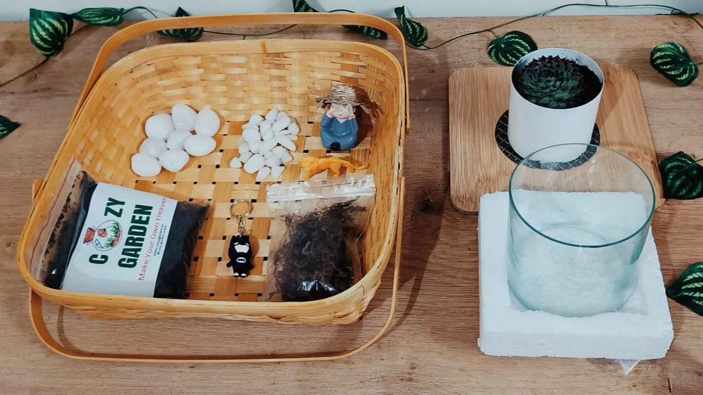 DIY Glass Planter Terrarium Kit – Create Your Own Mini Oasis (9 inches)