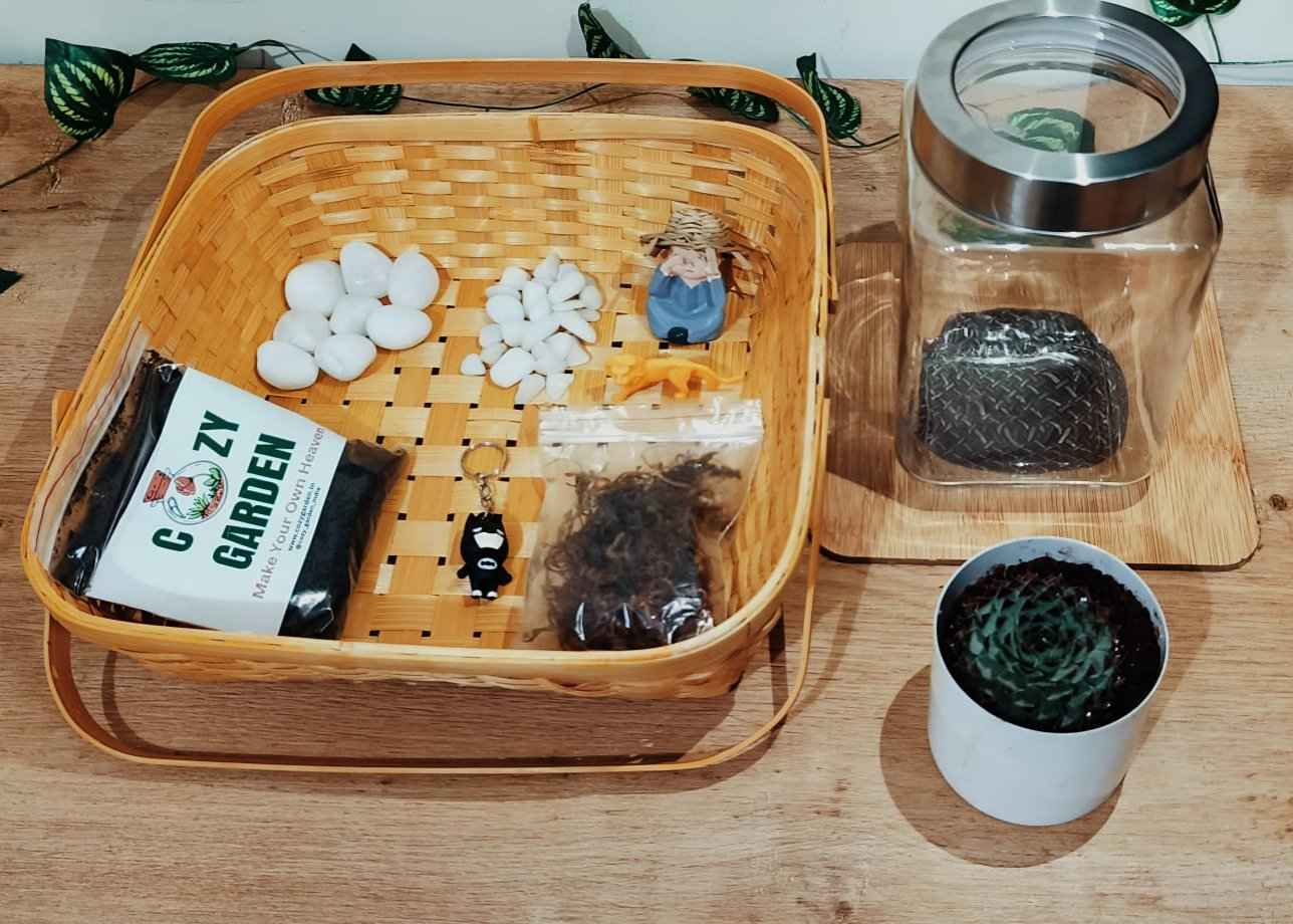 DIY Mini Oasis Terrarium with Colorful Sand and live plants included (8 Inch Jar)