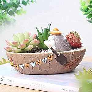 Cute Hedgehog Rowing Boat Succulent Resin Pot