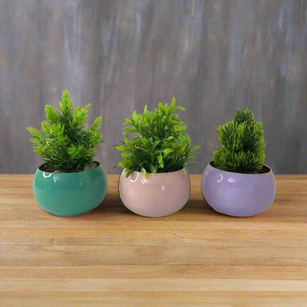 Round Multi Colour Pot Planter - Set of 3