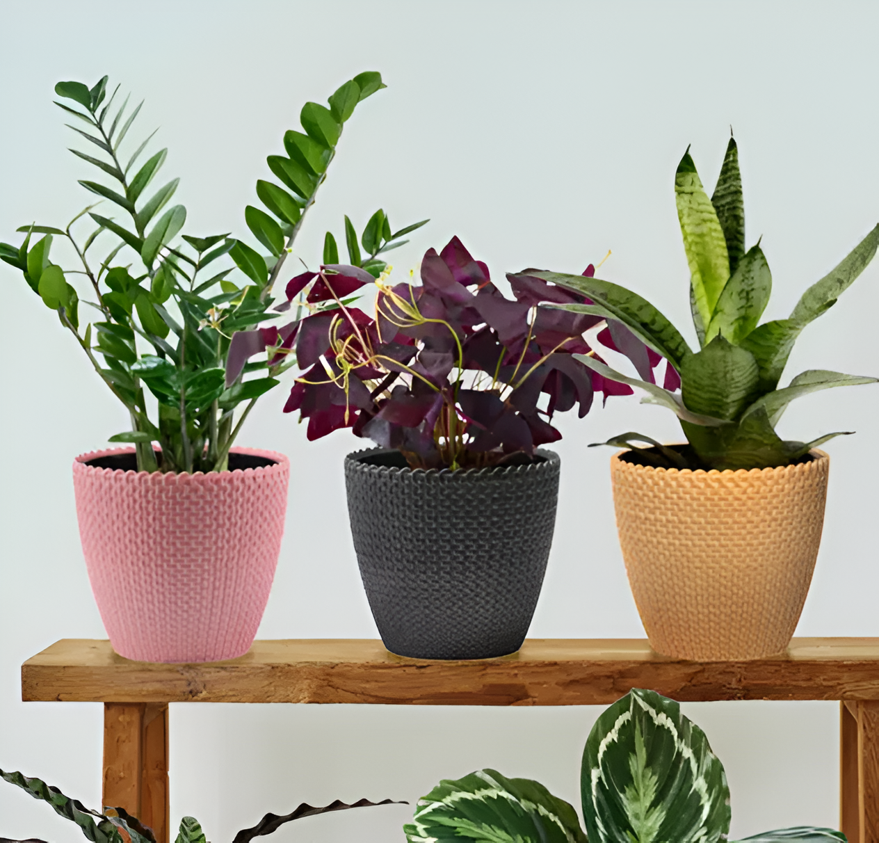 Set of 3 Indoor Flower Pots – Self-Watering Planters, 6 Inch Small Tabletop Pots for Home & Office Decor