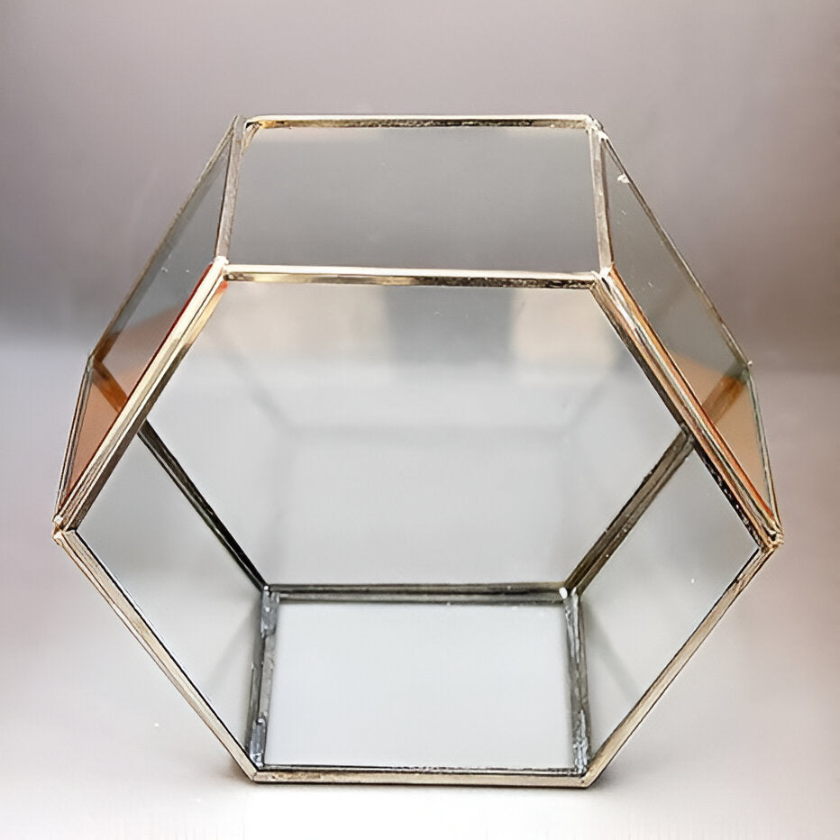 Hexagonal Glass Terrarium DIY Kit with Live Plants & Moss - COZY GARDEN