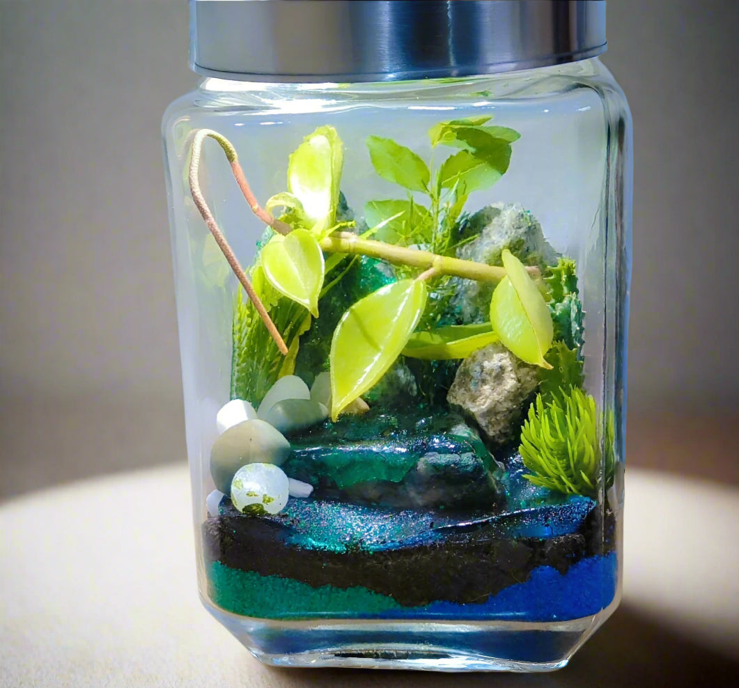 Mini Oasis Terrarium DIY Kit with Moss and Live plants included (8 inch Jar) - COZY GARDEN