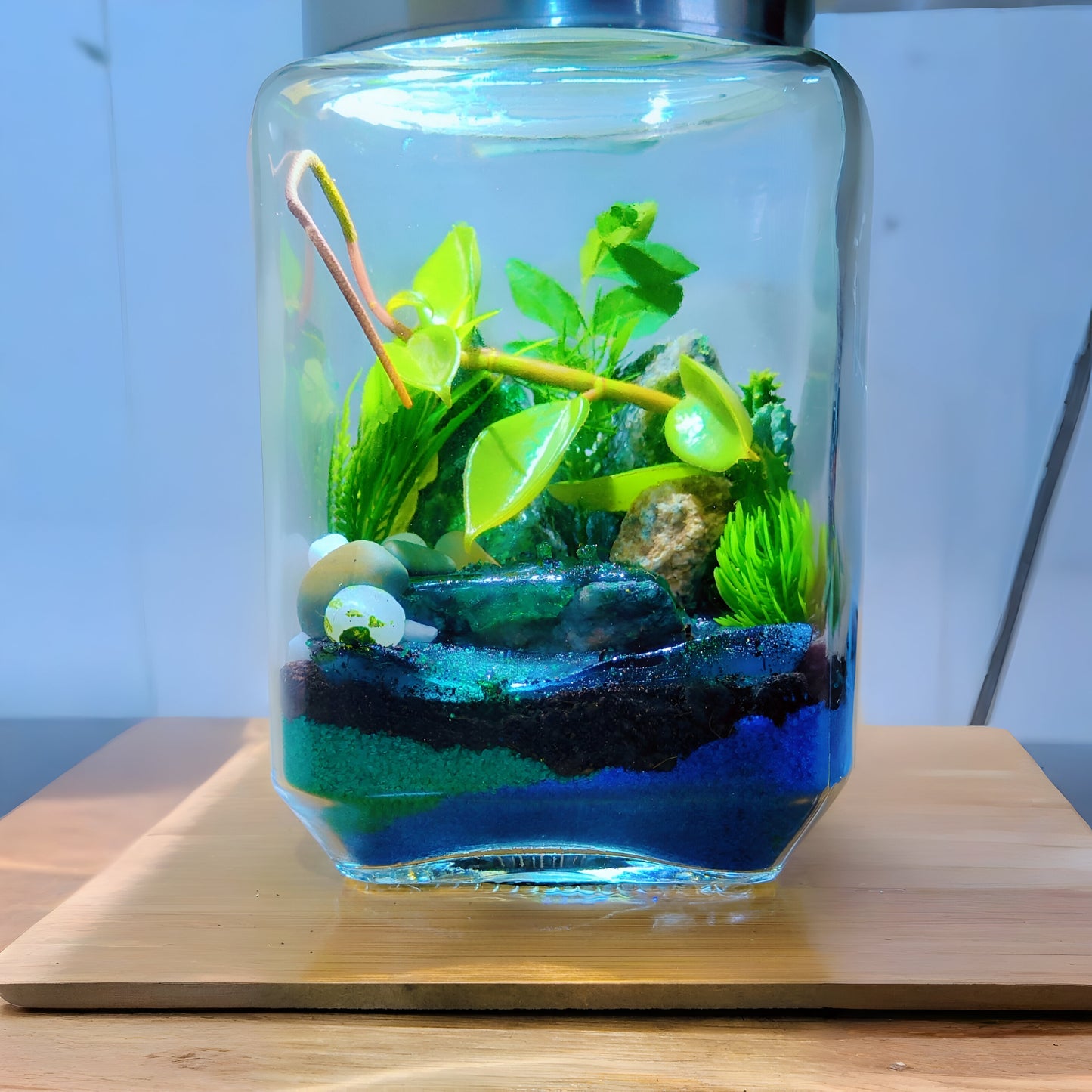 Mini Oasis Terrarium DIY Kit with Moss and Live plants included (8 inch Jar) - COZY GARDEN