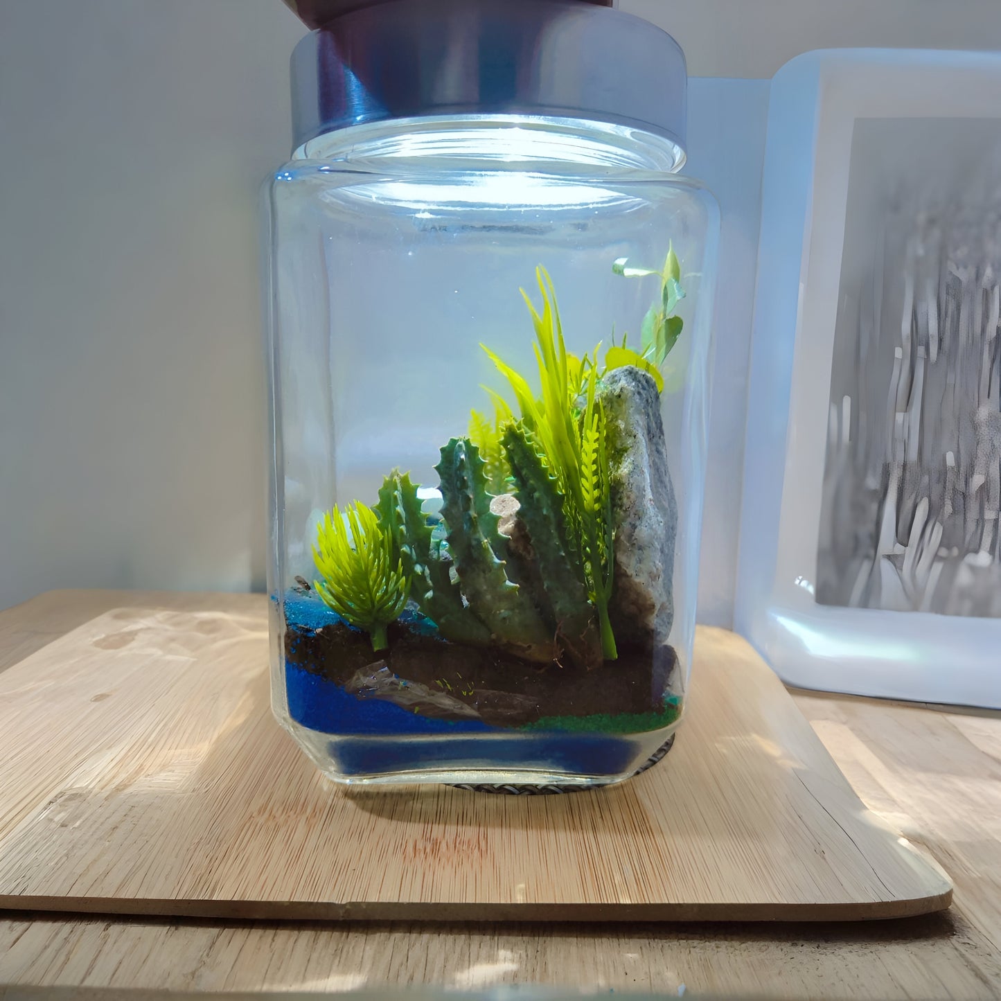 Mini Oasis Terrarium DIY Kit with Moss and Live plants included (8 inch Jar) - COZY GARDEN