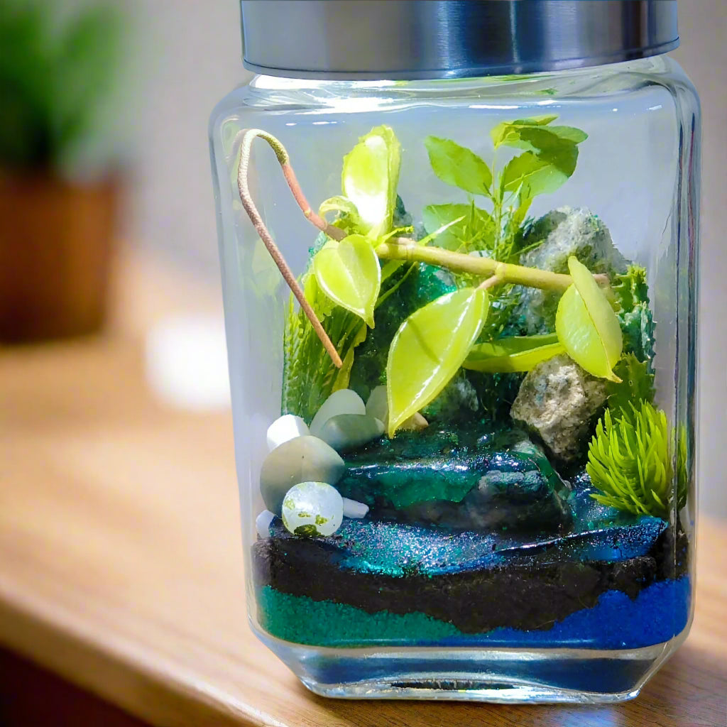 DIY Mini Oasis Terrarium with Colorful Sand and live plants included (8 Inch Jar) - COZY GARDEN