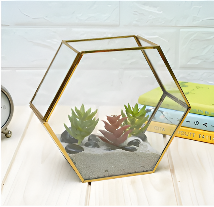 Hexagonal Glass Terrarium DIY Kit with Live Plants & Moss - COZY GARDEN