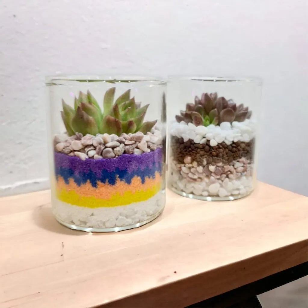 DIY Glass Planter Terrarium Kit – Create Your Own Mini Oasis (9 inches)