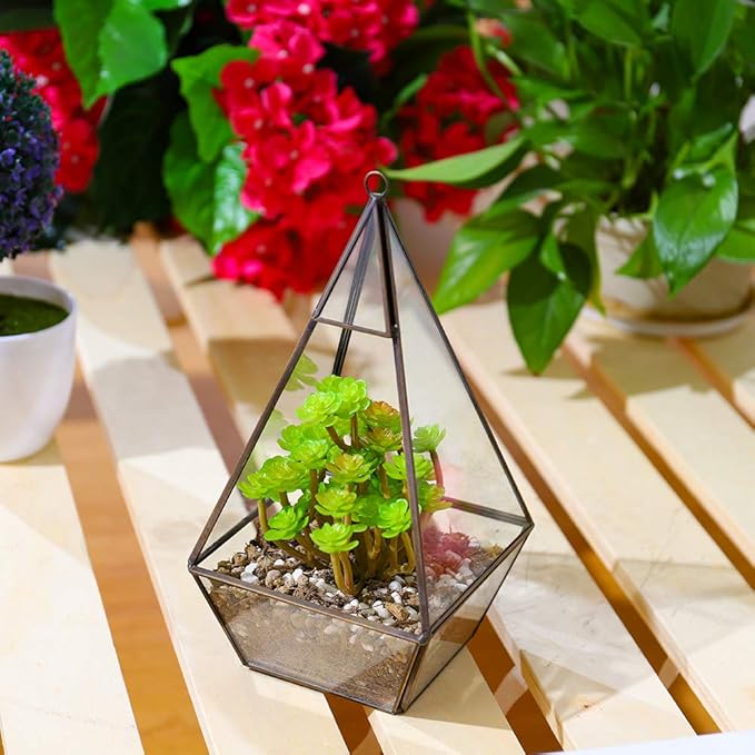Large Diamond Terrarium DIY Kit - COZY GARDEN