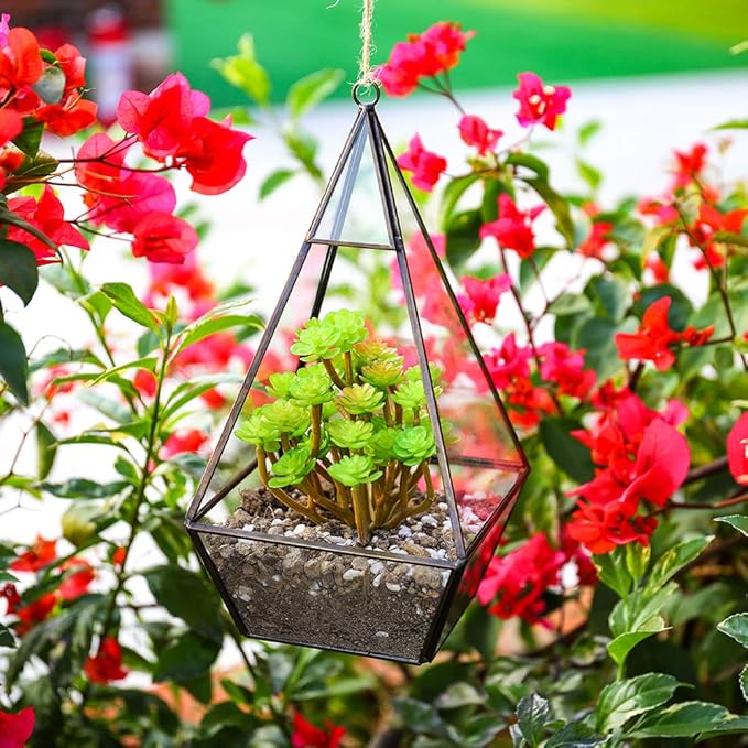Large Diamond Terrarium DIY Kit - COZY GARDEN