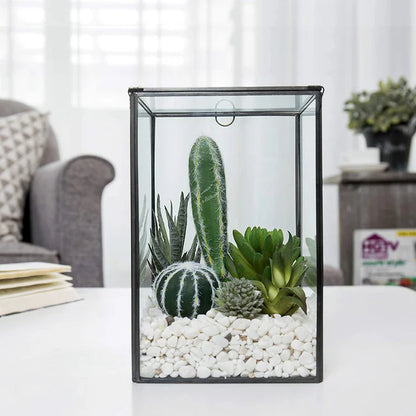Rectangle Terrarium DIY Kit with live plants included - COZY GARDEN