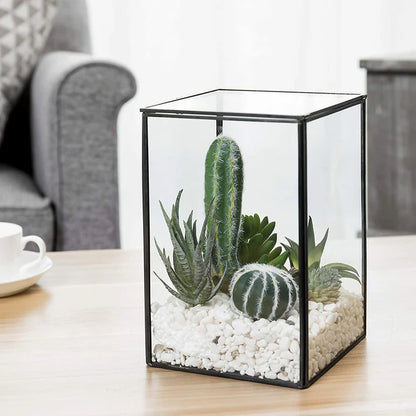 Rectangle Terrarium DIY Kit with live plants included - COZY GARDEN