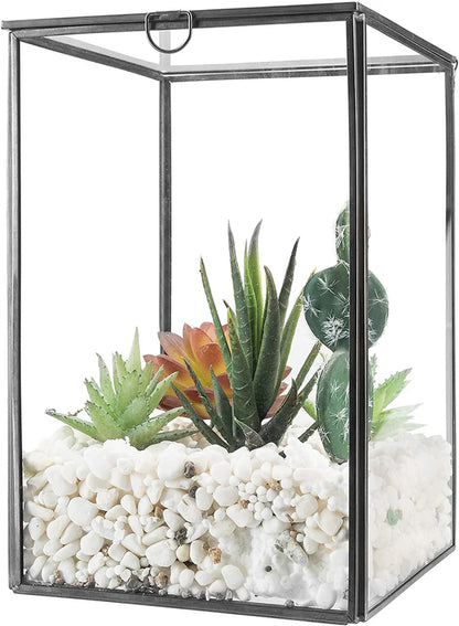Rectangle Terrarium DIY Kit with live plants included - COZY GARDEN