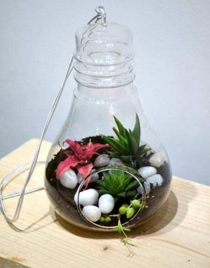 Bulb shape cute terrarium DIY kit
