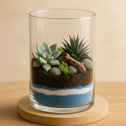 DIY Glass Planter Terrarium Kit – Create Your Own Mini Oasis (9 inches) - COZY GARDEN