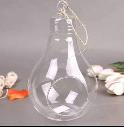 Stylish DIY Terrarium Kit - Bulb Shaped (6 inches) - COZY GARDEN