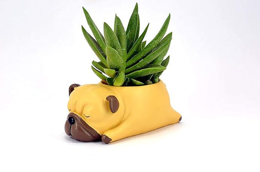 Yellow Bull Dog Cute Resin Pot - COZY GARDEN