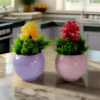 Vibrant Round Multi-Color Planter Set of 2 | Stylish Indoor & Outdoor Pot for Home Decor - COZY GARDEN