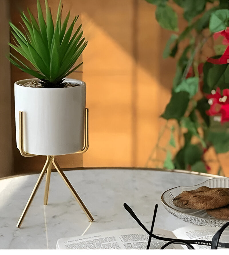 Table Top Planter - COZY GARDEN