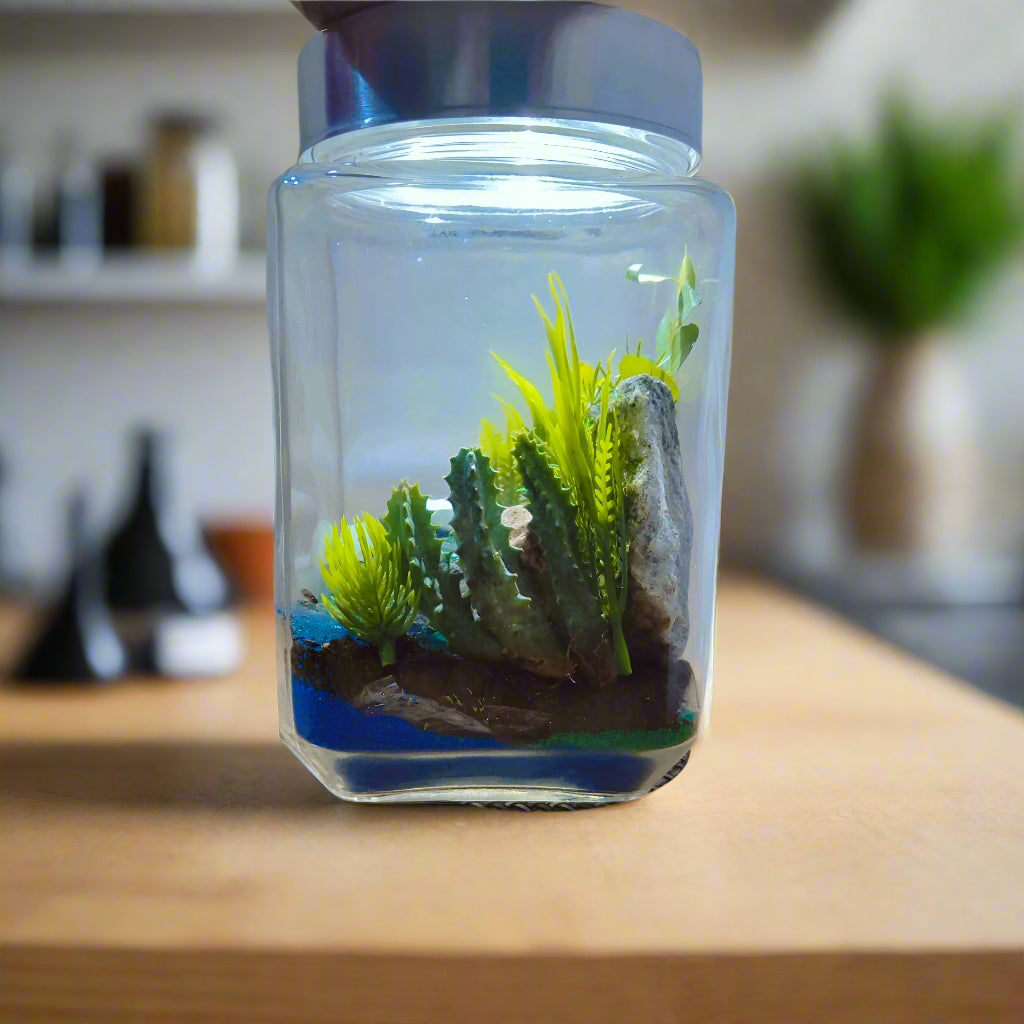DIY Mini Oasis Terrarium with Colorful Sand and live plants included (8 Inch Jar) - COZY GARDEN
