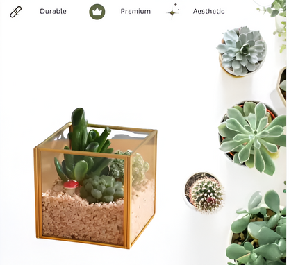 Stylish Square Terrarium DIY Kit with Live Plant Included – Create Your Own Green Oasis - COZY GARDEN