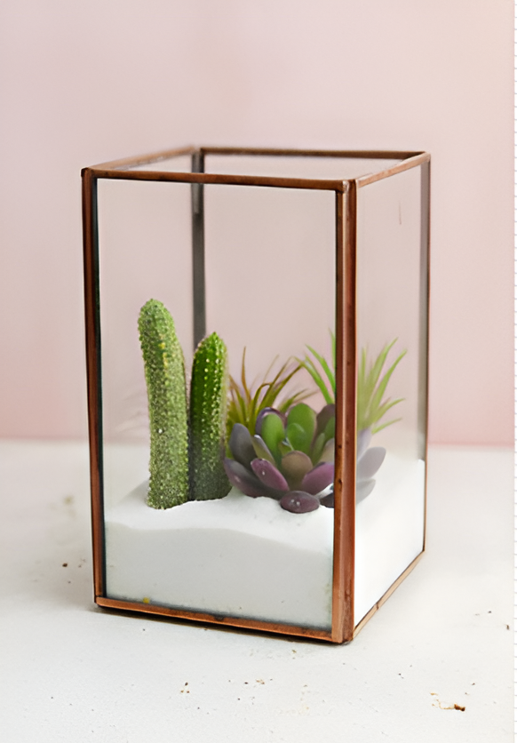 Rectangle Terrarium DIY Kit with live plants included - COZY GARDEN