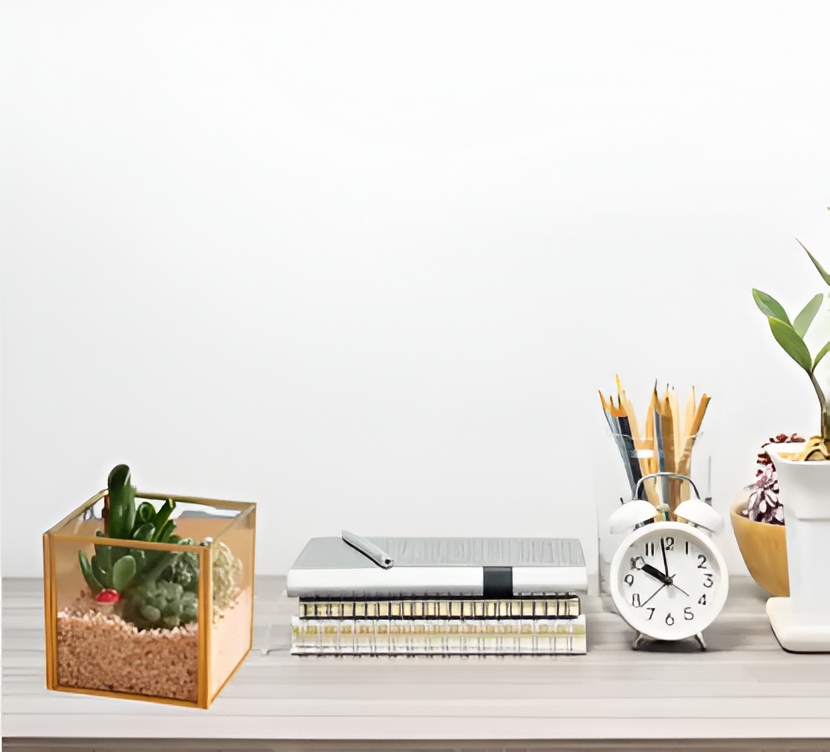 Stylish Square Terrarium DIY Kit with Live Plant Included – Create Your Own Green Oasis - COZY GARDEN