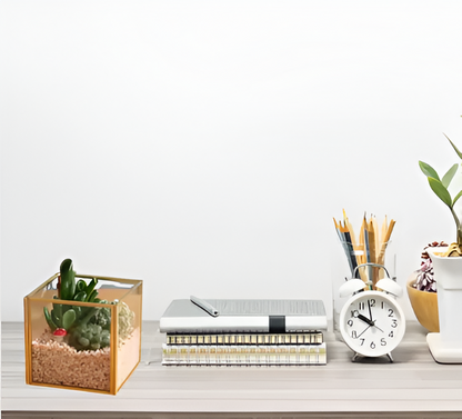 Stylish Square Terrarium DIY Kit with Live Plant Included – Create Your Own Green Oasis - COZY GARDEN