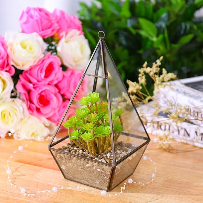 Large Diamond Terrarium DIY Kit - COZY GARDEN