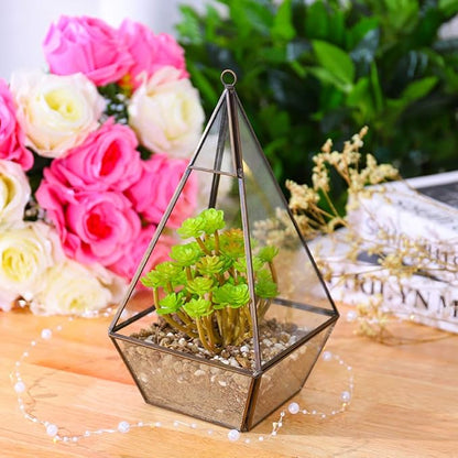 Large Diamond Terrarium DIY Kit - COZY GARDEN
